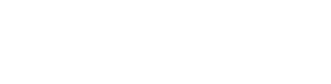 solidariovirtual.com